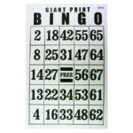 Jumbo Laminated Bingo Card