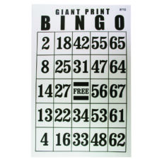 Jumbo Laminated Large Print Bingo Card - Vision Forward