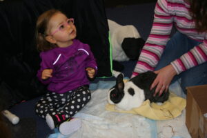 Child sitting with real bunny.