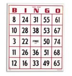 Large print bingo card.
