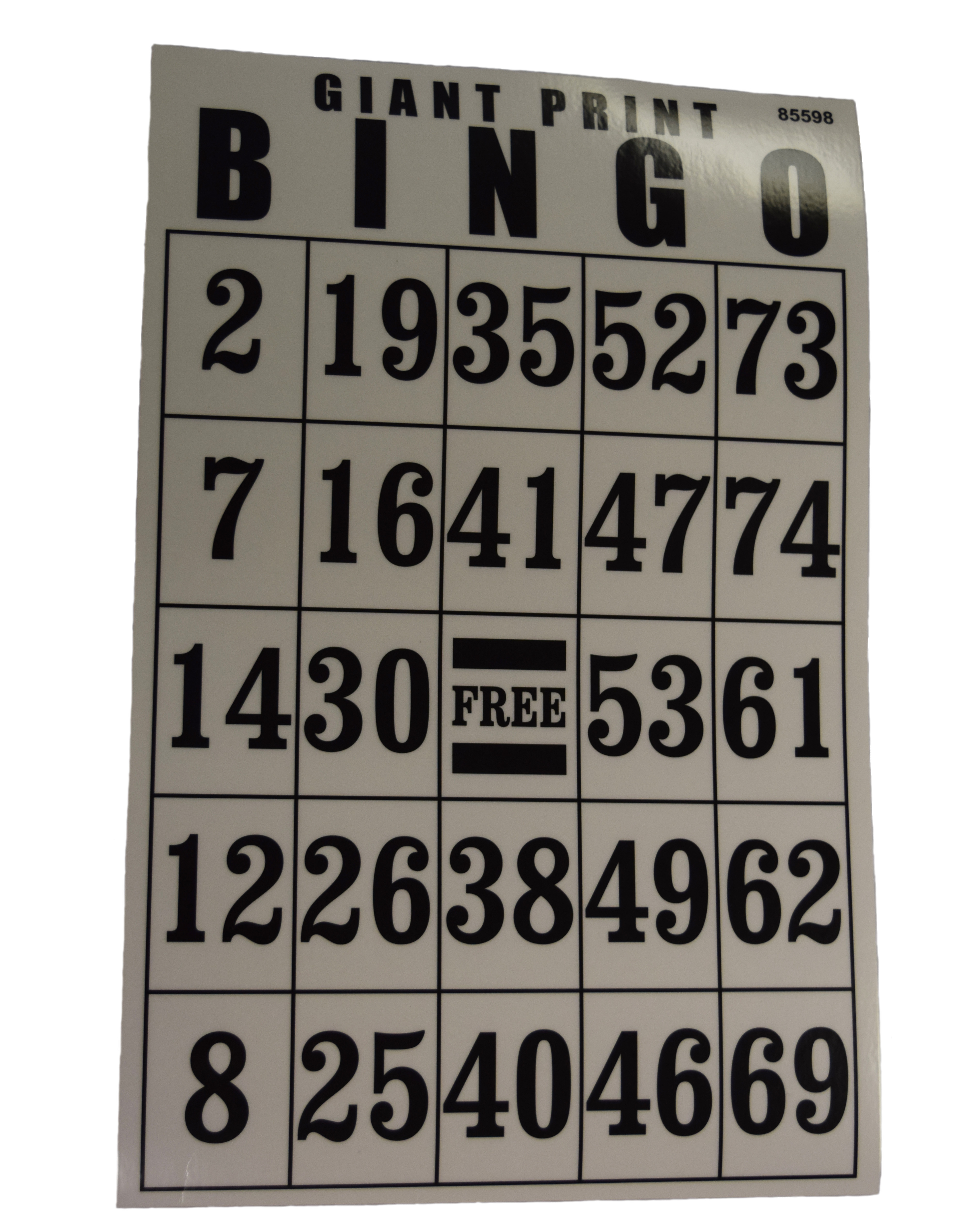 Large Number Bingo Card Vision Forward