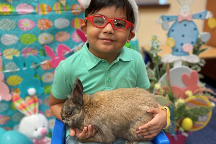 Child holding a bunny.