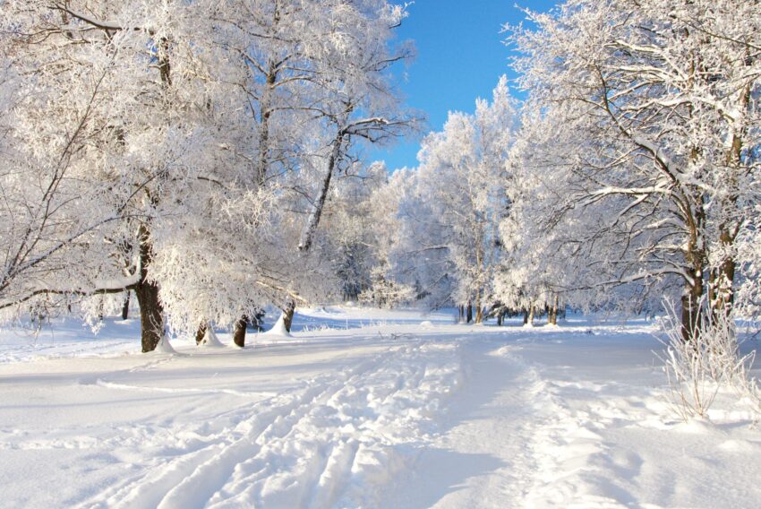 Picture of a snow covered street.