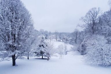 Image of snowy landscape.