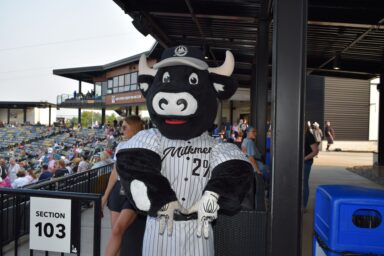 Milwaukee Milkmen Cow mascot standing in front of stadium seat section