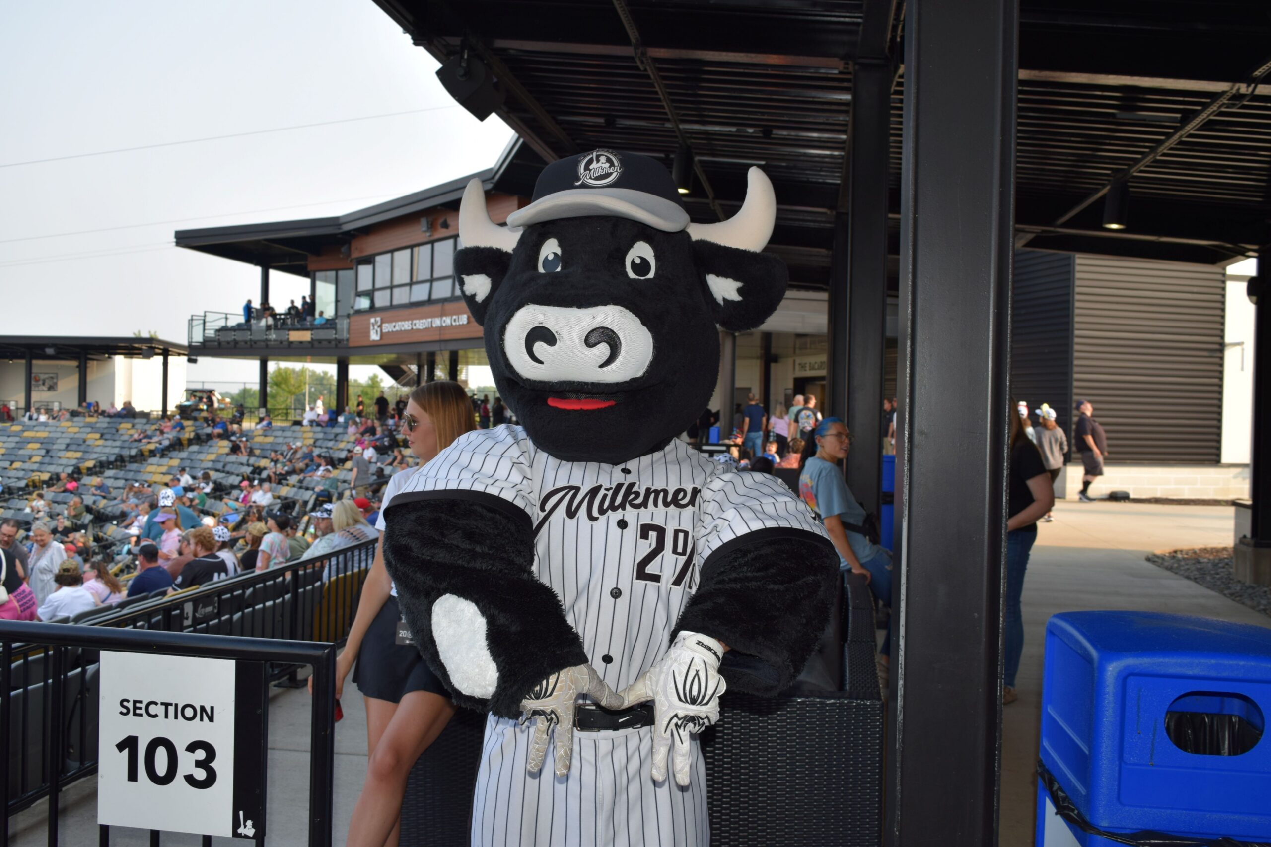 Milwaukee Milkmen Cow mascot standing in front of stadium seat section